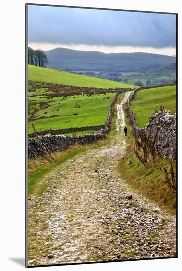 Rural Landscape in North Yorkshire, England-Mark Sunderland-Mounted Photographic Print