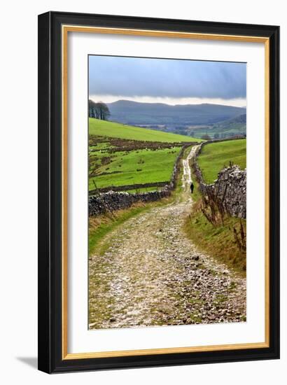 Rural Landscape in North Yorkshire, England-Mark Sunderland-Framed Photographic Print