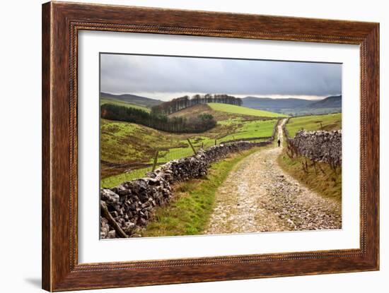 Rural Landscape in North Yorkshire, England-Mark Sunderland-Framed Photographic Print