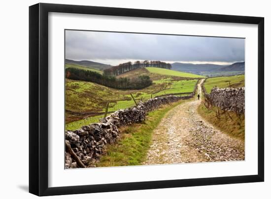 Rural Landscape in North Yorkshire, England-Mark Sunderland-Framed Photographic Print