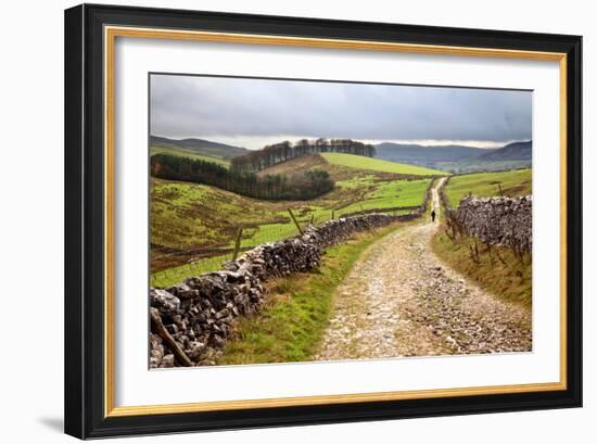 Rural Landscape in North Yorkshire, England-Mark Sunderland-Framed Photographic Print