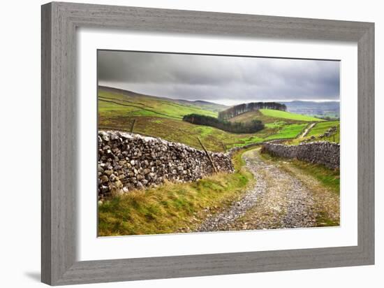 Rural Landscape in North Yorkshire, England-Mark Sunderland-Framed Photographic Print