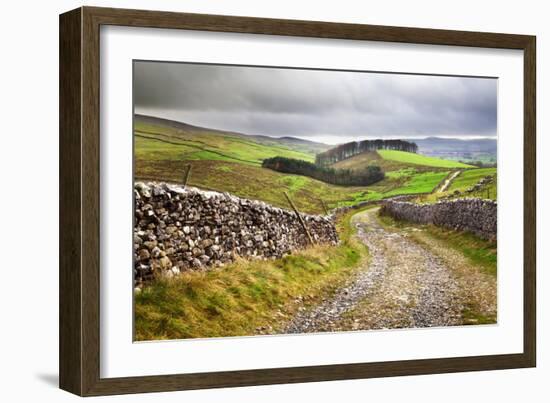 Rural Landscape in North Yorkshire, England-Mark Sunderland-Framed Photographic Print