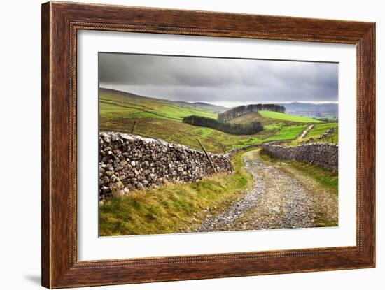 Rural Landscape in North Yorkshire, England-Mark Sunderland-Framed Photographic Print