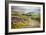 Rural Landscape in North Yorkshire, England-Mark Sunderland-Framed Photographic Print