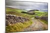 Rural Landscape in North Yorkshire, England-Mark Sunderland-Mounted Photographic Print