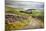 Rural Landscape in North Yorkshire, England-Mark Sunderland-Mounted Photographic Print