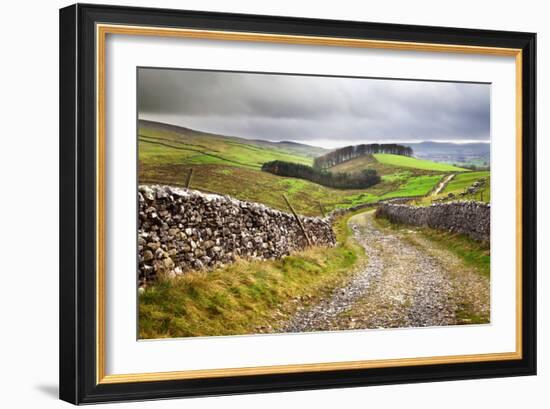 Rural Landscape in North Yorkshire, England-Mark Sunderland-Framed Photographic Print