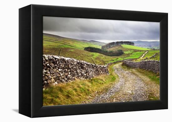 Rural Landscape in North Yorkshire, England-Mark Sunderland-Framed Premier Image Canvas