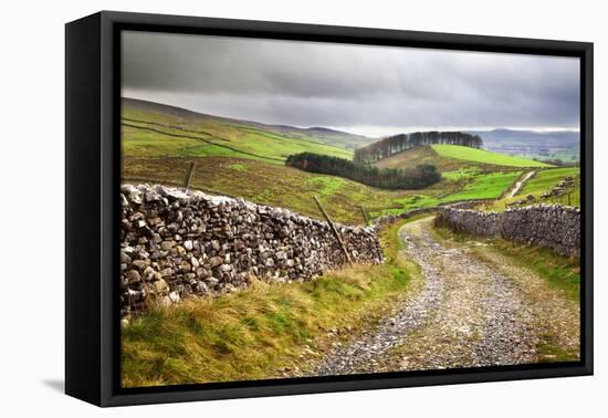Rural Landscape in North Yorkshire, England-Mark Sunderland-Framed Premier Image Canvas