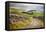 Rural Landscape in North Yorkshire, England-Mark Sunderland-Framed Premier Image Canvas