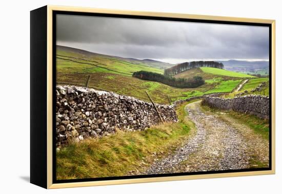 Rural Landscape in North Yorkshire, England-Mark Sunderland-Framed Premier Image Canvas