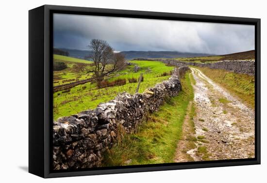 Rural Landscape in North Yorkshire, England-Mark Sunderland-Framed Premier Image Canvas