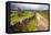 Rural Landscape in North Yorkshire, England-Mark Sunderland-Framed Premier Image Canvas