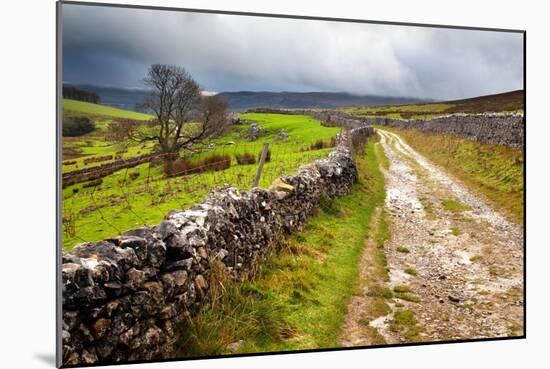 Rural Landscape in North Yorkshire, England-Mark Sunderland-Mounted Photographic Print