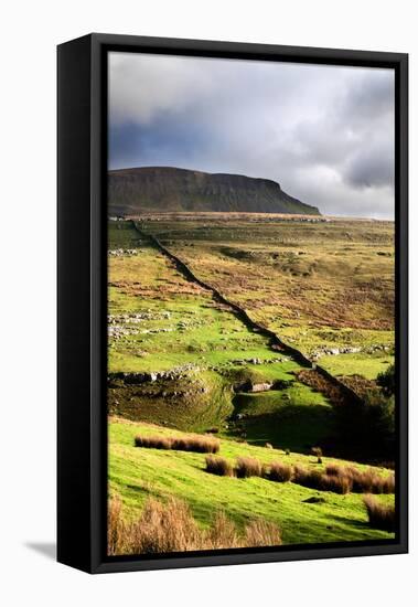 Rural Landscape in North Yorkshire, England-Mark Sunderland-Framed Premier Image Canvas