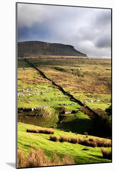 Rural Landscape in North Yorkshire, England-Mark Sunderland-Mounted Photographic Print