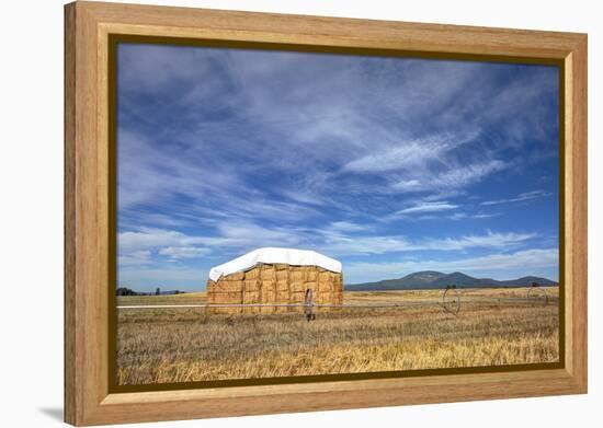 Rural Landscape of Haystack.-gjphotography-Framed Premier Image Canvas