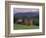 Rural Landscape of Poiana Marukei Region, Romania-Gavriel Jecan-Framed Photographic Print