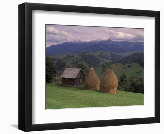 Rural Landscape of Poiana Marukei Region, Romania-Gavriel Jecan-Framed Photographic Print