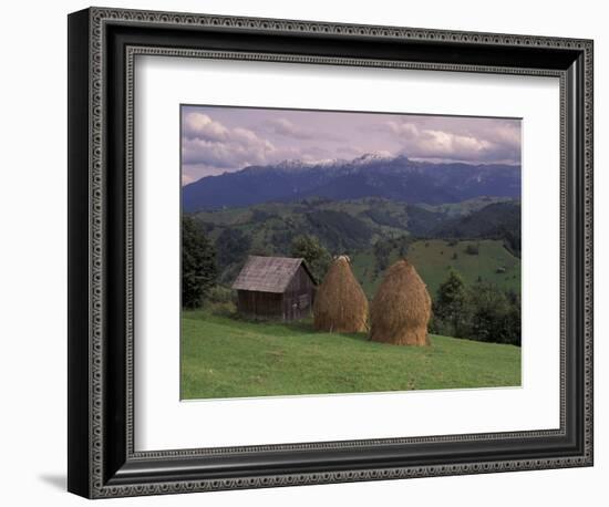 Rural Landscape of Poiana Marukei Region, Romania-Gavriel Jecan-Framed Photographic Print