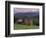 Rural Landscape of Poiana Marukei Region, Romania-Gavriel Jecan-Framed Photographic Print