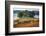 Rural landscape with flock of sheep in Dumesti, Apuseni mountains, Romania, Europe-Nagy Melinda-Framed Photographic Print