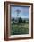 Rural Life-Tim O'toole-Framed Giclee Print