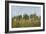 Rural Panorama II-Ethan Harper-Framed Art Print