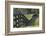 Rural Rappahannock County, Virginia, USA-Dennis Brack-Framed Photographic Print