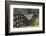 Rural Rappahannock County, Virginia, USA-Dennis Brack-Framed Photographic Print