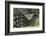 Rural Rappahannock County, Virginia, USA-Dennis Brack-Framed Photographic Print