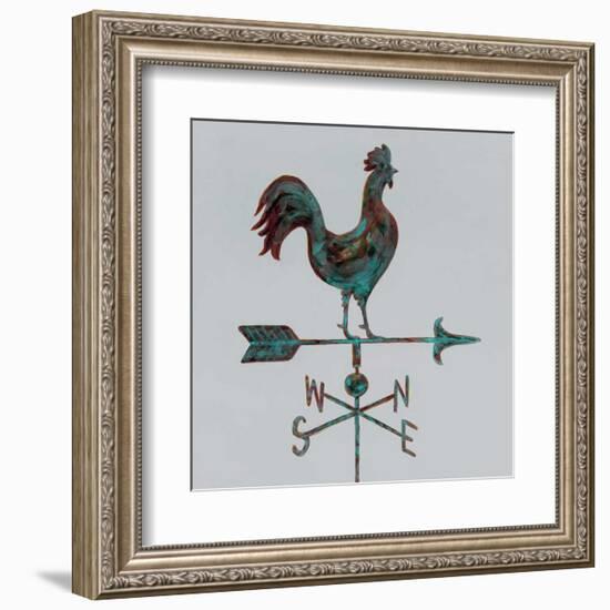 Rural Relic Rooster-Arnie Fisk-Framed Art Print