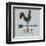 Rural Relic Rooster-Arnie Fisk-Framed Art Print