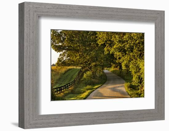 Rural Road and Fence at Sunrise, Oldham County, Kentucky-Adam Jones-Framed Photographic Print