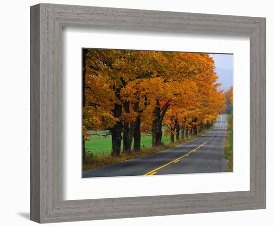 Rural Road in Autumn-Joseph Sohm-Framed Photographic Print