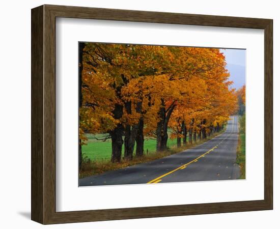 Rural Road in Autumn-Joseph Sohm-Framed Photographic Print