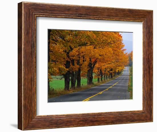 Rural Road in Autumn-Joseph Sohm-Framed Photographic Print