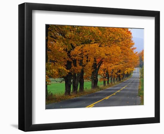 Rural Road in Autumn-Joseph Sohm-Framed Photographic Print