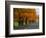 Rural Road in Autumn-Joseph Sohm-Framed Photographic Print