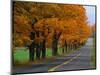 Rural Road in Autumn-Joseph Sohm-Mounted Photographic Print