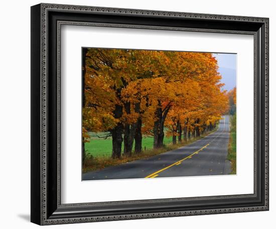 Rural Road in Autumn-Joseph Sohm-Framed Photographic Print