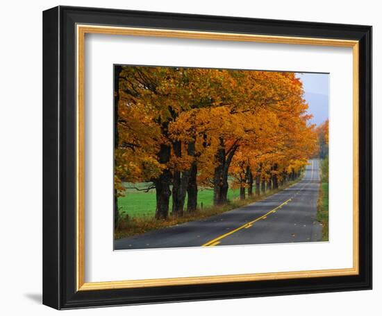 Rural Road in Autumn-Joseph Sohm-Framed Photographic Print