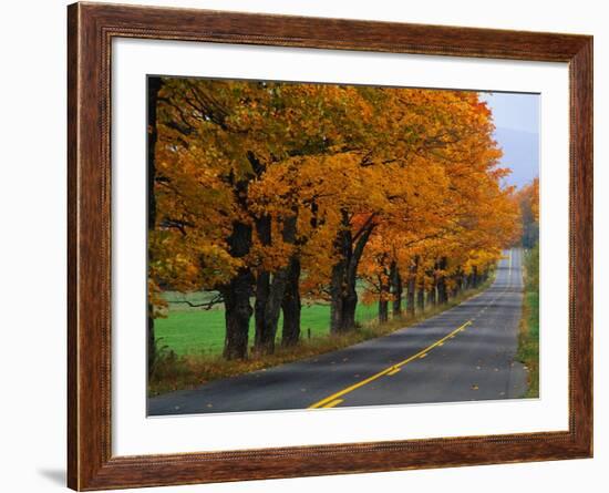 Rural Road in Autumn-Joseph Sohm-Framed Photographic Print