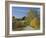 Rural Road Through Bluegrass in Autumn Near Lexington, Kentucky, USA-Adam Jones-Framed Photographic Print