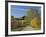 Rural Road Through Bluegrass in Autumn Near Lexington, Kentucky, USA-Adam Jones-Framed Photographic Print