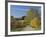 Rural Road Through Bluegrass in Autumn Near Lexington, Kentucky, USA-Adam Jones-Framed Photographic Print