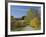 Rural Road Through Bluegrass in Autumn Near Lexington, Kentucky, USA-Adam Jones-Framed Photographic Print