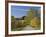 Rural Road Through Bluegrass in Autumn Near Lexington, Kentucky, USA-Adam Jones-Framed Photographic Print