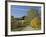 Rural Road Through Bluegrass in Autumn Near Lexington, Kentucky, USA-Adam Jones-Framed Photographic Print